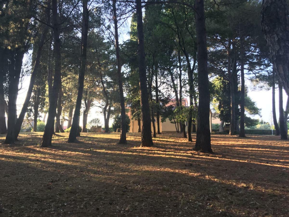 Pribetic Apartments Πόρετς Εξωτερικό φωτογραφία